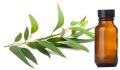 Fern Eucalyptus CP Stable Fragrance Oil