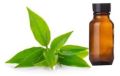 Green Tea CP Stable Fragrance Oil
