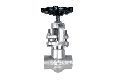 Forged Steel OS & Y Type 1 Globe Valve