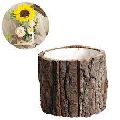 NEW STYLE WOODEN BARK HOME DECORATIVE WOODEN BARK FLOWERS POT HANDMADE PRODUCT USE FOR HOME DECORATI