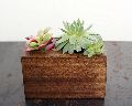 STYLISH DSIGN IN DIFFERENT SIZE AND SHAPE NATURAL WOODEN FLOWERS POT