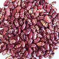 Speckled kidney beans