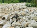 Granite feldspar white lumps