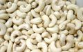 W280 Cashew Nuts