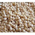 Whole White Urad Dal