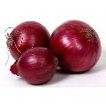 Red Onion.