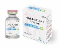 Ampicillin and Cloxacillin Injection