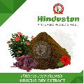 Hibiscus (Gudhal) Dry Extract 10:1