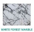 White Forest Marble Slab