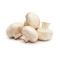 1 Kg Organic Mushroom