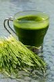 Green Green Organic Wheatgrass Powder