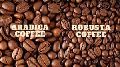 Ethiopian Arabica And Robusta Green Coffee Beans