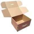 2 Ply Printed Boxes