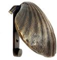 Shell Design Metal Door Knocker