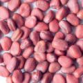 Spinach Palak Seed Coating Polymer