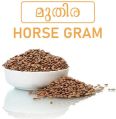 horse gram