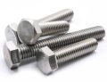 Stainless Steel Hex Bolts