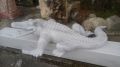 Marble Crocodile Statue