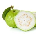 Natural Samarth Agro fresh guava
