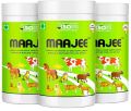 Maajee -animal Nutrition &amp;amp;amp; Feed Supplement Pack Of 3 (908gm)