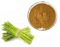 Asparagus Racemosus Extract
