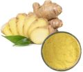 Zingiber Officinale Tuber Extract