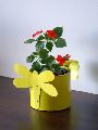 home or garden decor mini planter pot