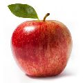 Organic Red fresh apple