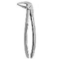 Tooth Extraction Forceps