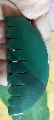 Plastic Plain green jade hair comb