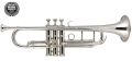 ARB Professional Silver ST Bb Trumpet