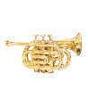 ARB Professional Standard Gold Pocket Trumpet
