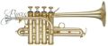 Rmze Professional Grade-1 Gold Piccolo Trumpet