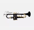 Rmze Professional Standard Black Gold Edition BB Trumpet including Hardcase