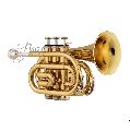 Rmze Professional Standard Gold Pocket Trumpet