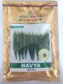 Bhindi Seeds Golden -Navya