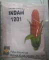 Maize Corn Indam 1201 Hybrid Seeds