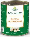 Creamy Canned Button Mushroom