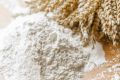 Natural Organic Creamy White Powder whole wheat flour