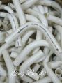 PVC White Electrical Pipe Fittings