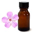 Liquid Flowers Payam Naturals geranium oil