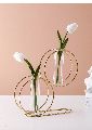 Round Shaped Gold Plain Polished Grista Simply More double round metal wire glass tube vase