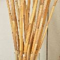 Round bamboo sticks