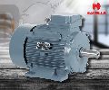 Havells Electric Motor