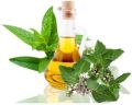 A thin colorless to pale yellow liquid. mentha arvensis essential oil