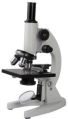 New BLISCO Compound Microscope