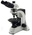 Polarized Medical Microscope
