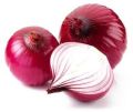 Fresh High Quality Onion