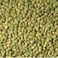 High quality green lentil