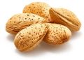 Raw Almond Nuts in shell